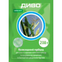 Диво, ВГ